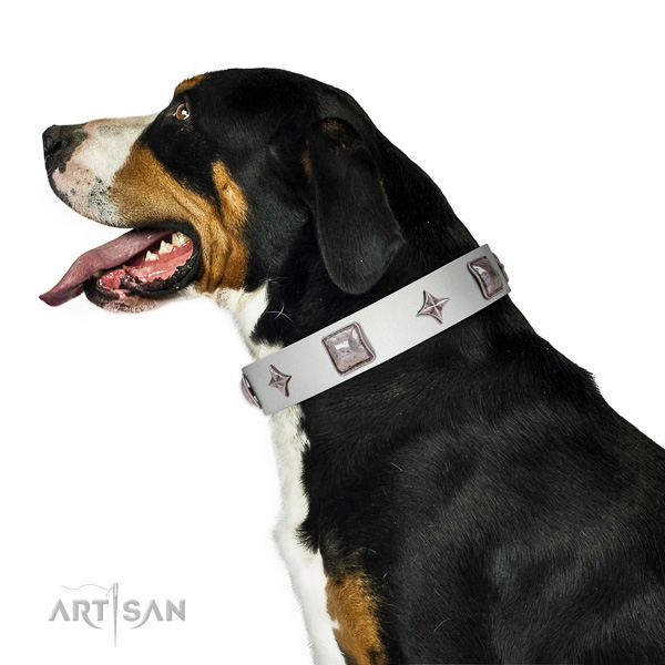  Amazing full grain leather  Swiss-Mountain Dog collar with decorations