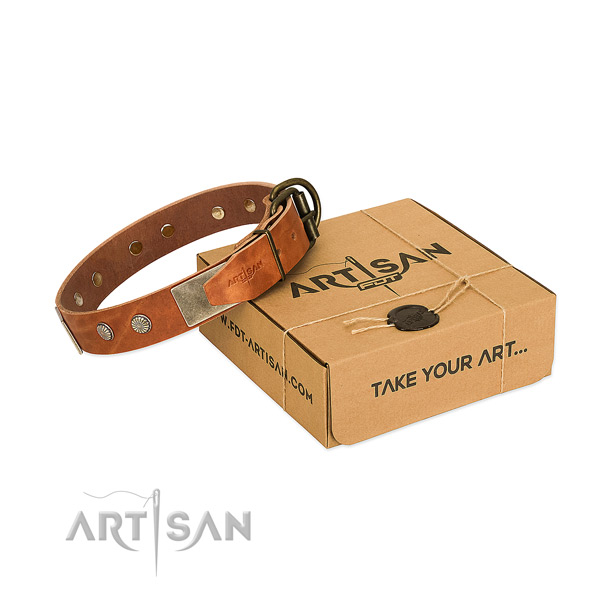 Elegant Dog Collar Adorned with Combo of Large Plates and Small Studs