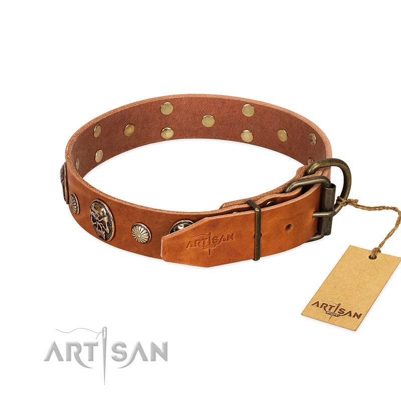 Tan Leather Dog Collar with Riveted Hardware