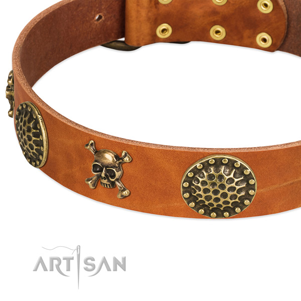 Tan leather dog collar with vintage decorations