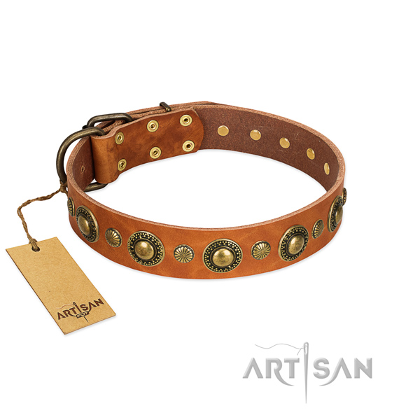 FDT Artisan handcrafted leather dog collar with stylish decorations