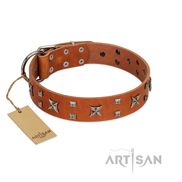 FDT Artisan handcrafted leather dog collar with stylish decorations