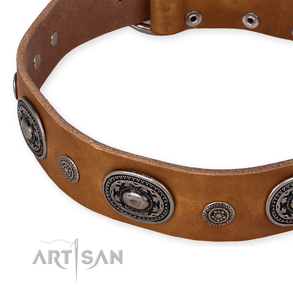 Tan leather dog collar with reliably fixed decorations