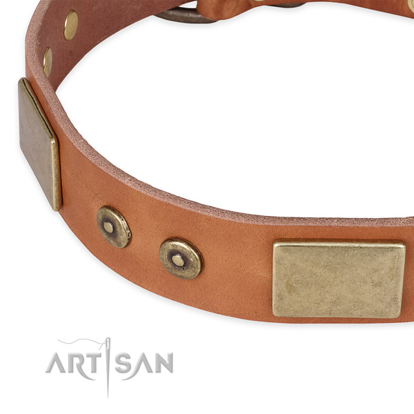 Tan leather dog collar with reliably attached decorations