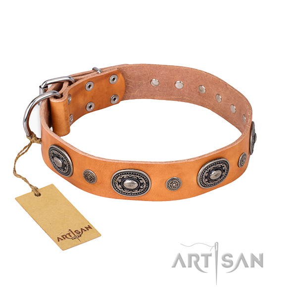 Brown leather dog collar with fancy decorations
