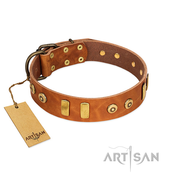 decorated tan dog collar made of polished waxed leather