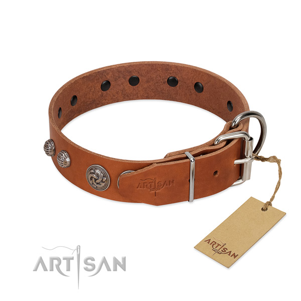 Reliable Walking Dog Collar of Genuine Leather