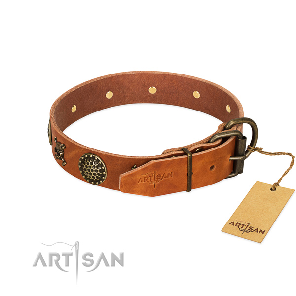 Fabulous FDT Artisan leather dog collar