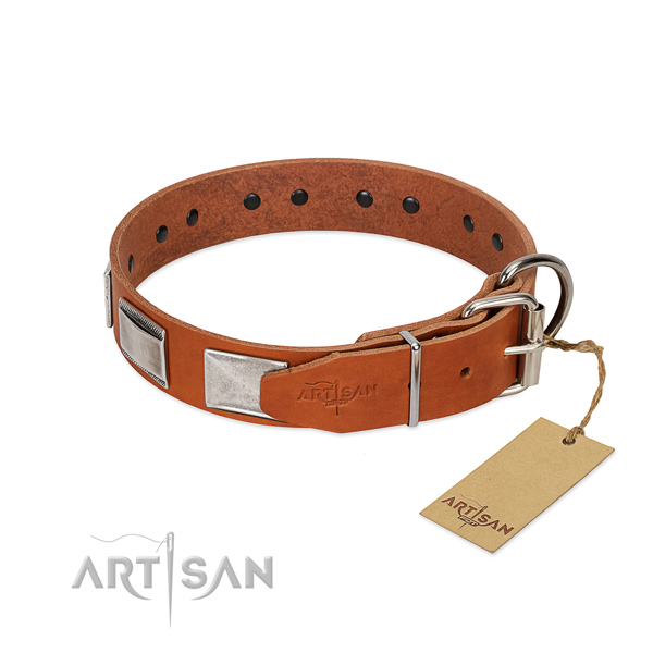Reliable FDT Artisan leather dog collar