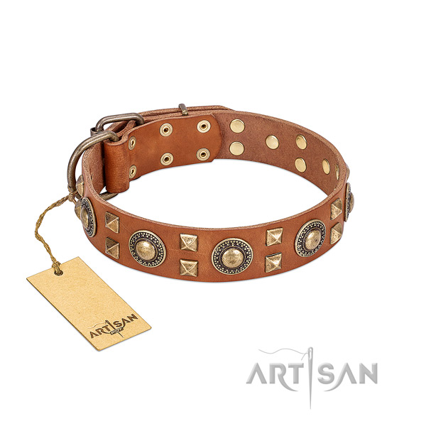 Reliable FDT Artisan leather dog collar