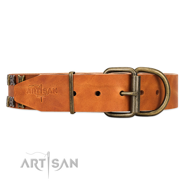 Tan dog collar with old bronze-like hardware