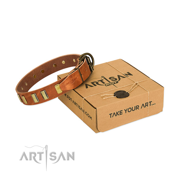 Tan leather dog collar with chic decorations