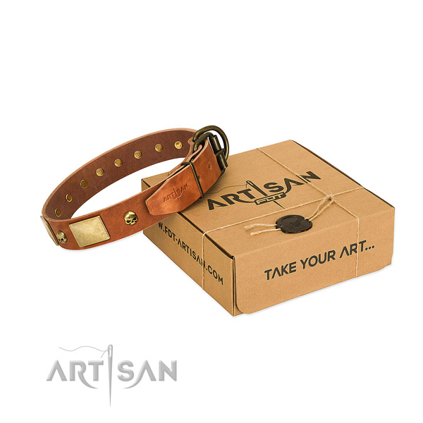 Eye-catching Tan Dog Collar Delivers Pleasure and Comfort