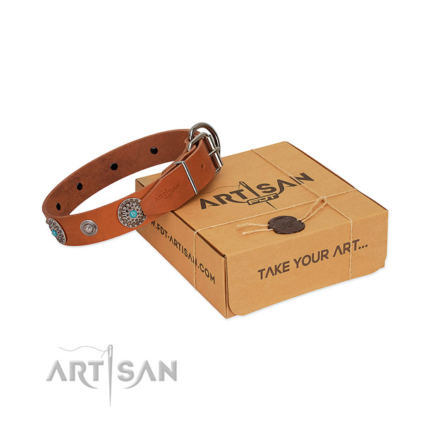FDT Artisan tan leather dog collar for safe walks