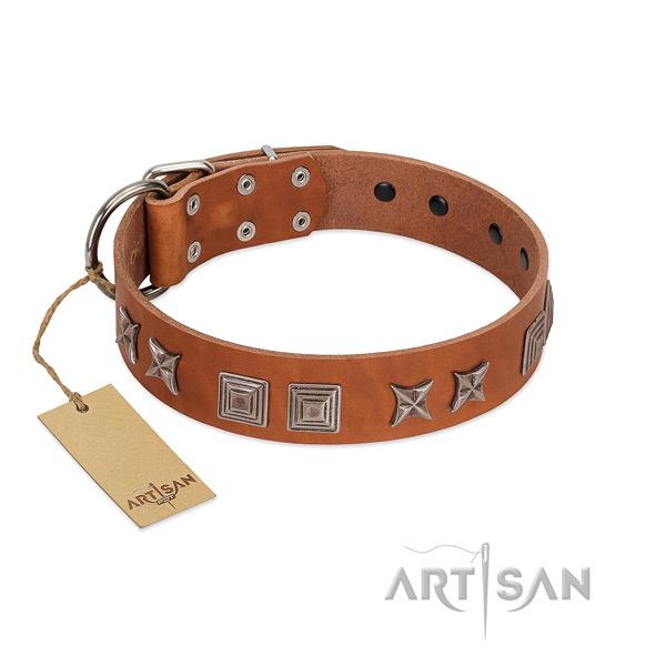 Fabulous FDT Artisan leather dog collar