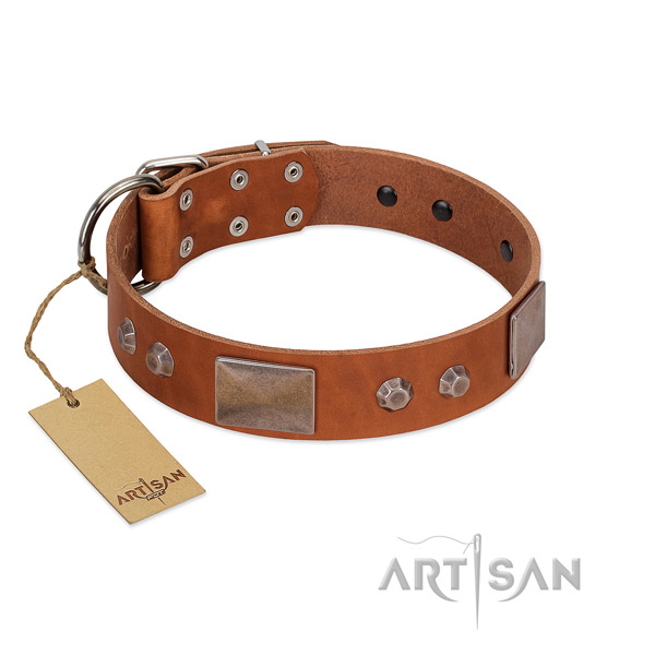 Fabulous FDT Artisan leather dog collar