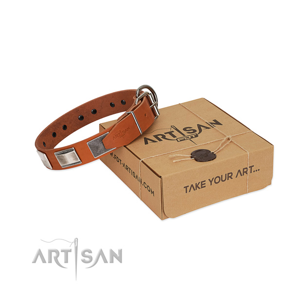 FDT Artisan leather dog collar for your best dog