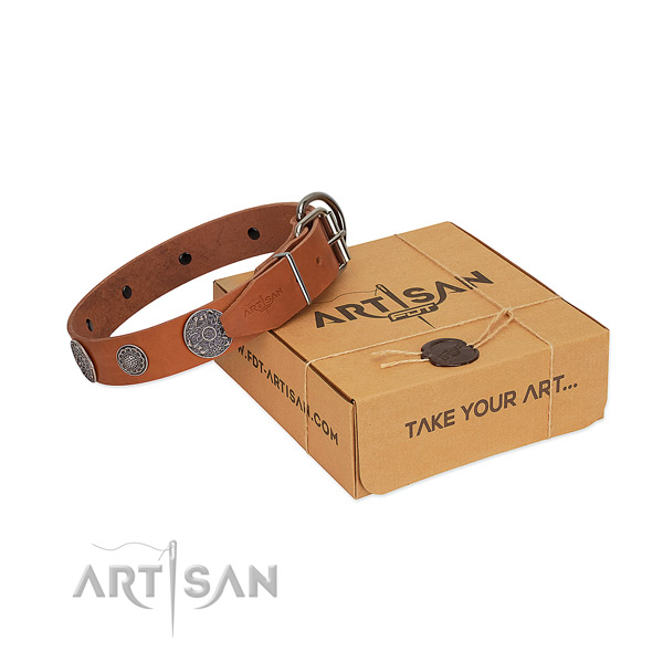 Royal quality tan genuine leather dog collar for daily use