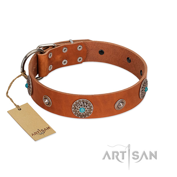 Stunning FDT Artisan leather dog collar