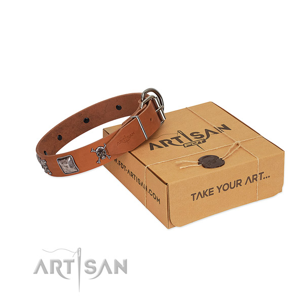 Super Strong Dog Collar for Safe Handling and Fashionable Walks