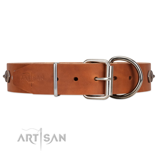 Tan leather dog collar with vintage decorations