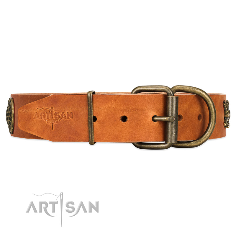 Leather dog collar with old bronze-like hardware