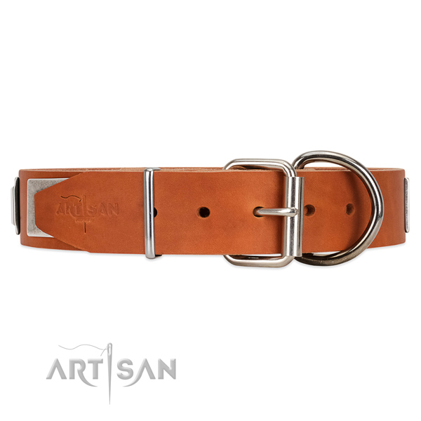 Strong leather dog collar with chrome plated hardware