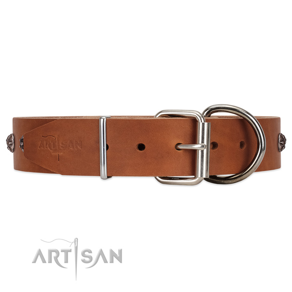Leather dog collar with old silver-like hardware