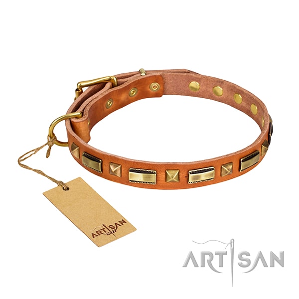 Tan leather dog collar with vintage decorations