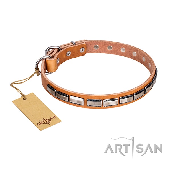 Tan leather dog collar with vintage decorations