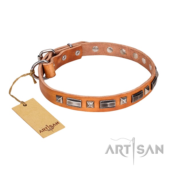 Tan leather dog collar with vintage decorations