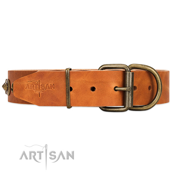 Tan dog collar with old bronze-like hardware