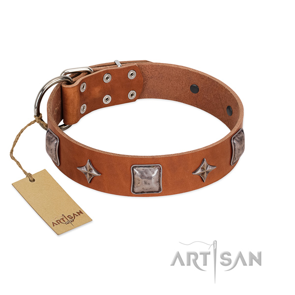 Fabulous FDT Artisan leather dog collar
