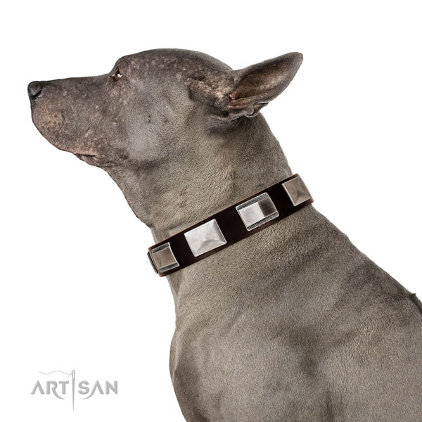 Handcrafted walking leather Thai Ridgeback collar