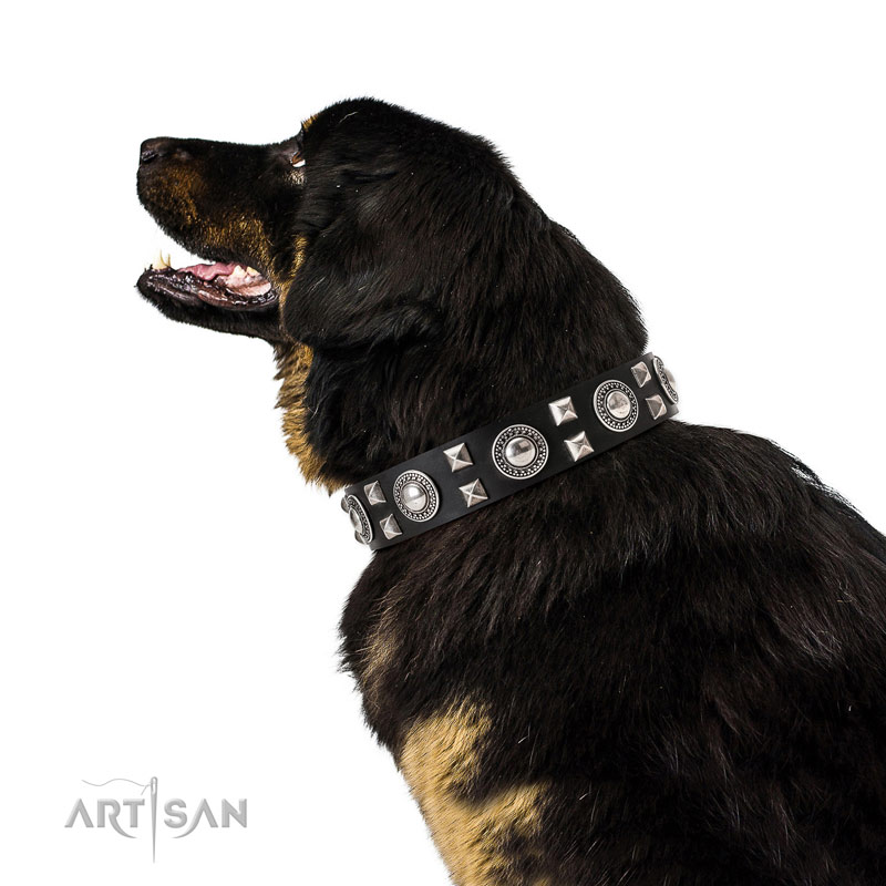 Handcrafted walking leather Tiberian Mastiff collar