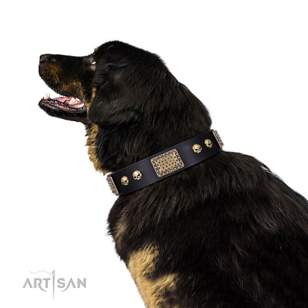 Tibetian Mastiff easy wearing dog collar of awesome quality genuine leather