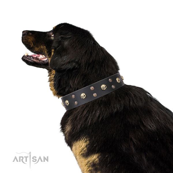 Tibetian Mastiff handmade natural genuine leather dog collar with embellishments