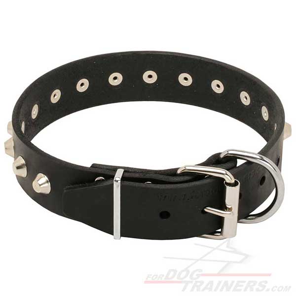 Nickel plated buckle and D-ring on Leather Dog Collar