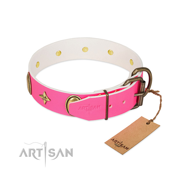 Time-proof leather dog collar equipped with non-rusting hardware