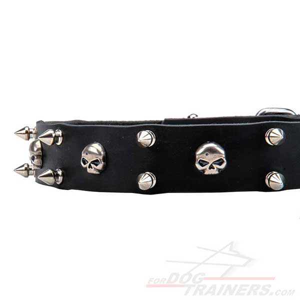 Silver-Like Decor on Durable Dog Collar