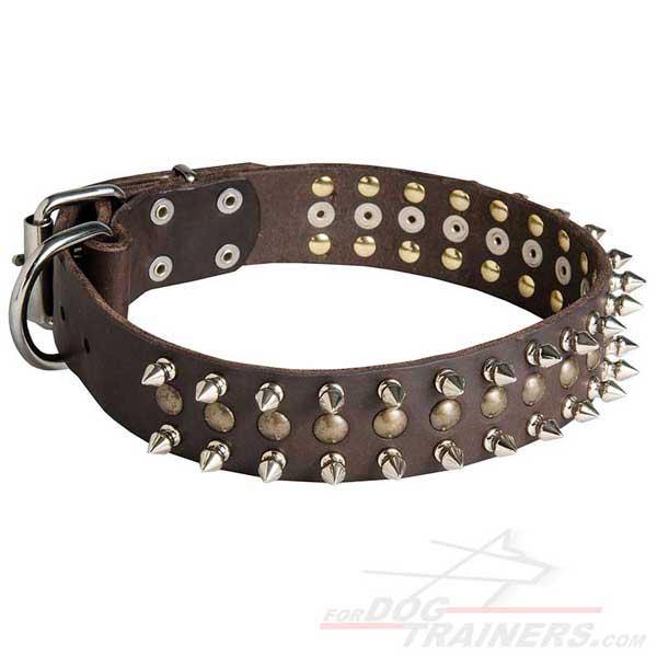 Leather dog collar adorned with spikes and studs