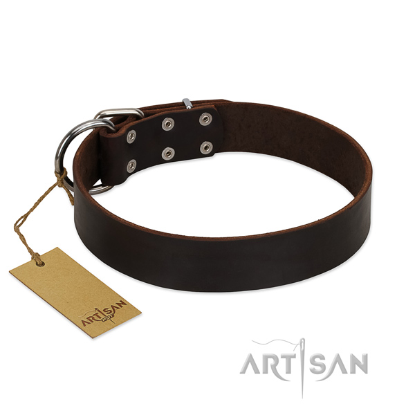 Comfortable Brown Leather Dog Collar