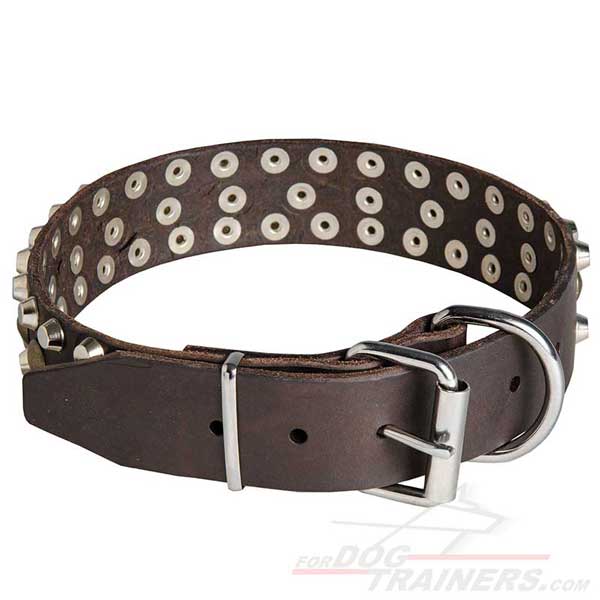Leather walking dog collar with D-ring for leash attachment