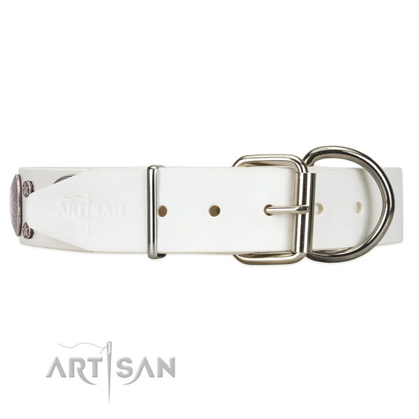 Daily walking white leather dog collar with durable hardware