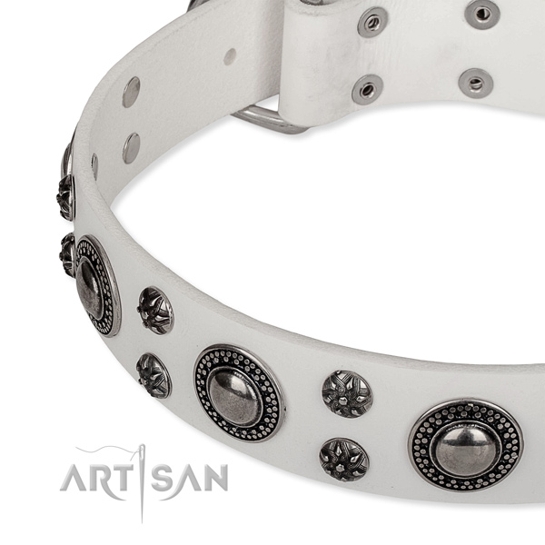 White leather dog collar decorated with round studs