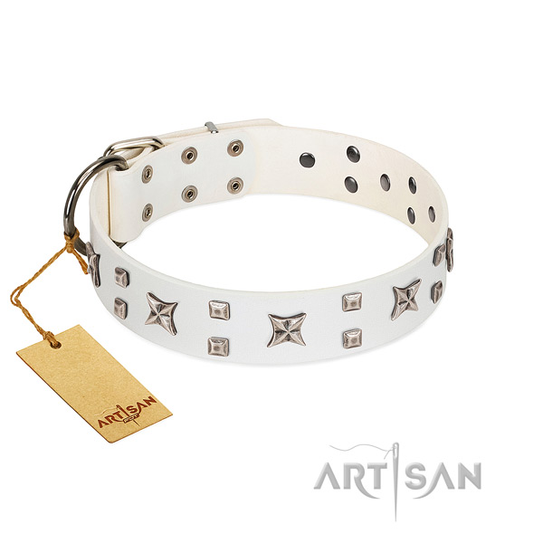 Best dog collar with equisite silver-like adornments