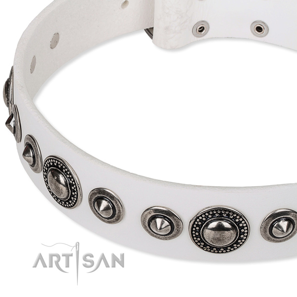 Riveted white leather dog collar