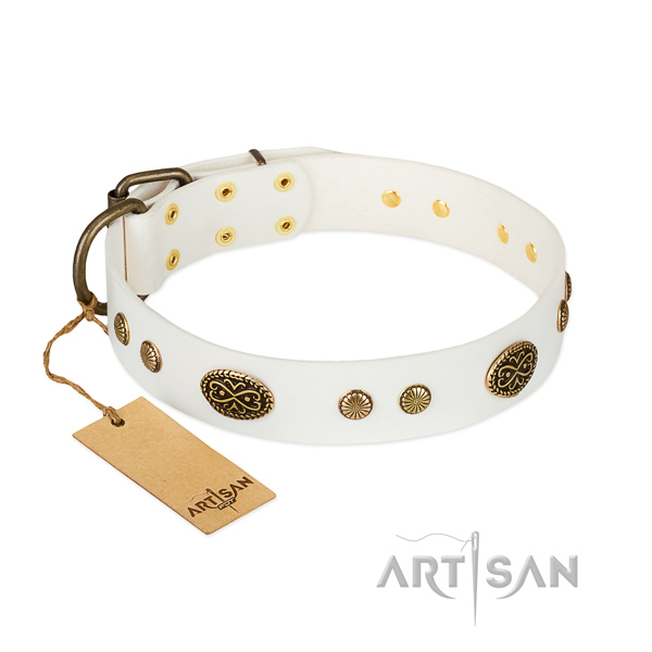 White leather dog collar with firmly attached studs