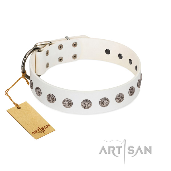 Reliable and stylish leather dog collar with decorations