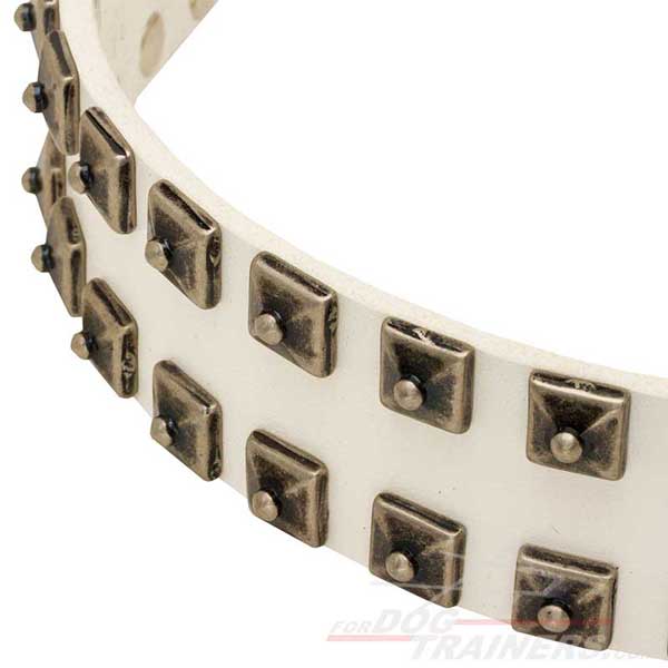 Wide Leather Canine Collar with Studs